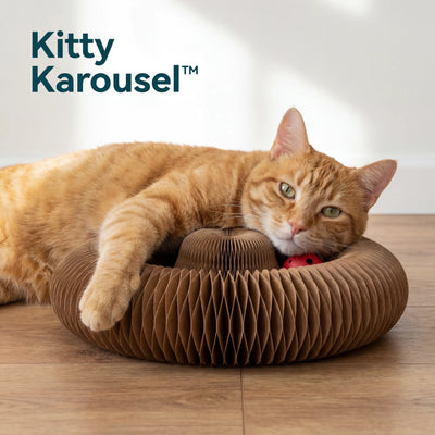 Kitty Karousel